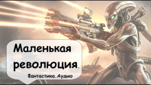 Аудиокнига Маленькая революция