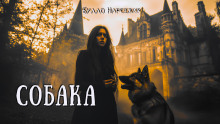 слушать аудиокнигу Собака Аудиокнига Собака