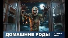Слушать онлайн аудиокниги Домашние роды Аудиокнига Домашние роды