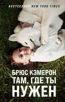 Слушать онлайн аудиокниги Там, где ты нужен Аудиокнига Там, где ты нужен