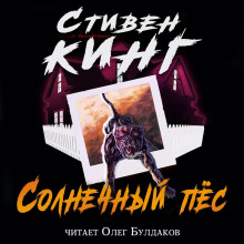 Аудиокнига Солнечный пёс