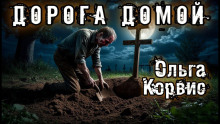 Аудиокнига Дорога домой