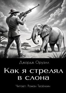 Аудиокнига Как я стрелял в слона