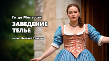 Слушать онлайн аудиокниги Заведение Телье Аудиокнига Заведение Телье