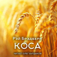 Аудиокнига Коса