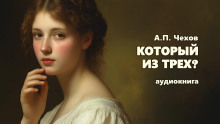 Аудиокнига Который из трех?