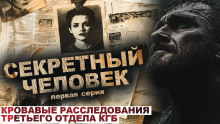 Аудиокнига Секретный человек