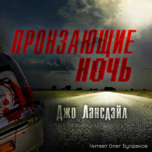 слушать аудиокнигу Пронзающие ночь Аудиокнига Пронзающие ночь