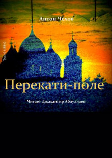 Аудиокнига Перекати-поле