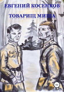 Аудиокнига Товарищ Миша