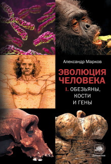 Слушать онлайн аудиокниги Обезьяны, кости и гены Аудиокнига Обезьяны, кости и гены
