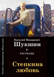 Аудиокнига Стёпкина любовь