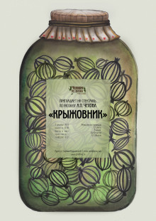 Аудиокнига Крыжовник