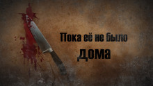Аудиокнига Пока её не было дома