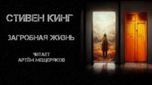 Аудиокнига Загробная жизнь