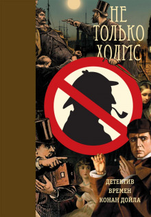 слушать аудиокнигу Загадка тринадцатой камеры Аудиокнига Загадка тринадцатой камеры