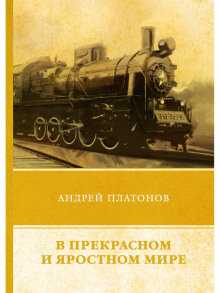 Аудиокнига В прекрасном и яростном мире