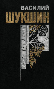 слушать аудиокнигу Верую! Аудиокнига Верую!