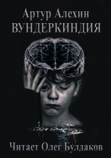 Аудиокнига Вундеркиндия