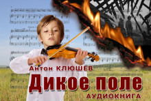 слушать аудиокнигу Дикое Поле Аудиокнига Дикое Поле