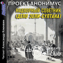 Аудиокнига Надворный советник (Дело Зели-Султана)