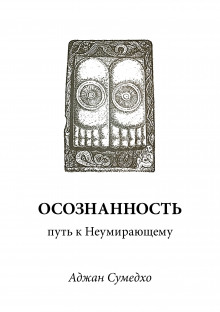 Аудиокнига Осознанность путь к Неумирающему