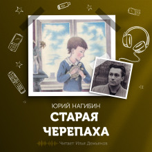 Аудиокнига Старая черепаха