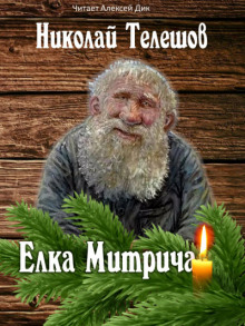 Аудиокнига Елка Митрича