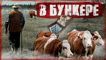 слушать аудиокнигу Пастух Аудиокнига Пастух