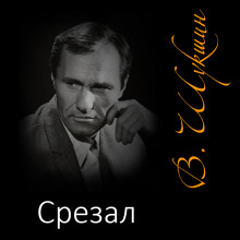 Аудиокнига Срезал