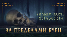 Аудиокнига За пределами бури