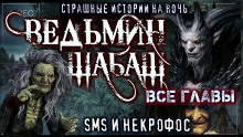 Аудиокнига Ведьмы уходят в небо