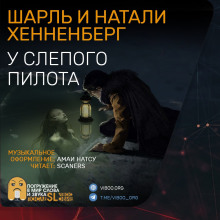 Аудиокнига «У слепого пилота»