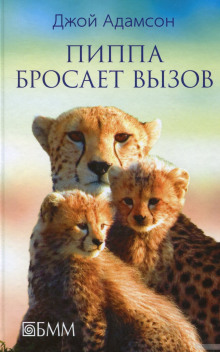 Аудиокнига Пиппа бросает вызов
