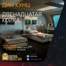 Аудиокнига Двенадцатая койка
