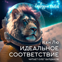 слушать аудиокнигу Идеальное соответствие Аудиокнига Идеальное соответствие