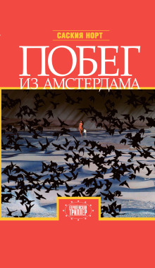 Аудиокнига Побег из Амстердама