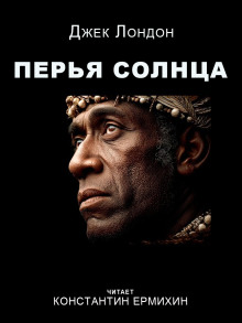 Аудиокнига Перья Солнца