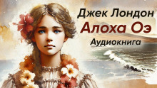 слушать аудиокнигу Алоха Оэ Аудиокнига Алоха Оэ