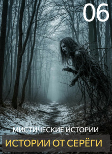 Аудиокнига Истории от Серёги №6