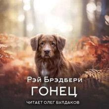 Аудиокнига Гонец