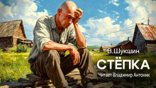 Аудиокнига Стёпка