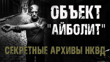 Аудиокнига Секретные архивы НКВД. Объект "Айболит"