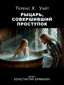Аудиокнига Рыцарь, совершивший проступок