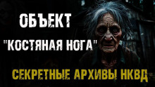 Аудиокнига Секретные архивы НКВД. Объект "Костяная нога"