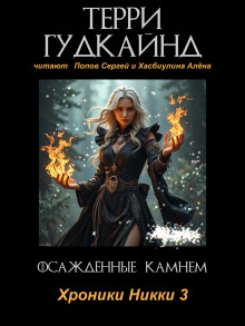 Аудиокнига Осаждённые камнем
