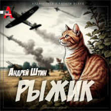 Аудиокнига Рыжик