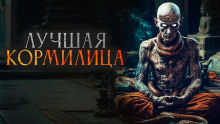 слушать аудиокнигу Лучшая кормилица Аудиокнига Лучшая кормилица