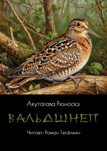 Аудиокнига Вальдшнеп