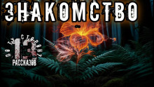 Аудиокнига Знакомство